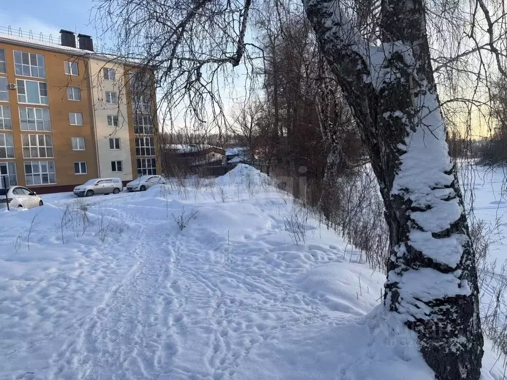 1-к кв. Алтай, Майминский район, с. Майма ул. Ленина (37.4 м) - Фото 2