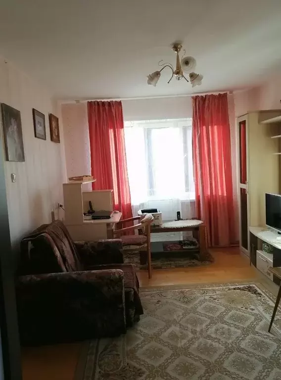 1-к кв. Псковская область, Пушкинские Горы рп ул. Ленина, 17 (30.0 м) - Фото 2