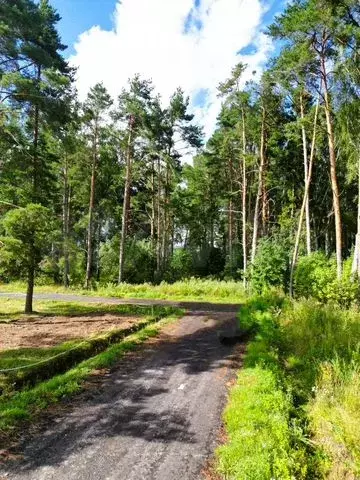 Участок 5,5 сот. (ИЖС) - Фото 0