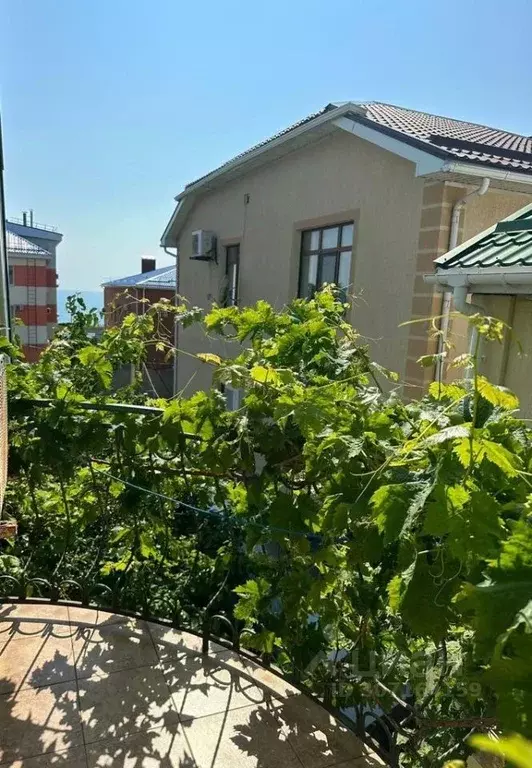 Комната Краснодарский край, Анапа Медицинский пер., 12 (16.0 м) - Фото 1