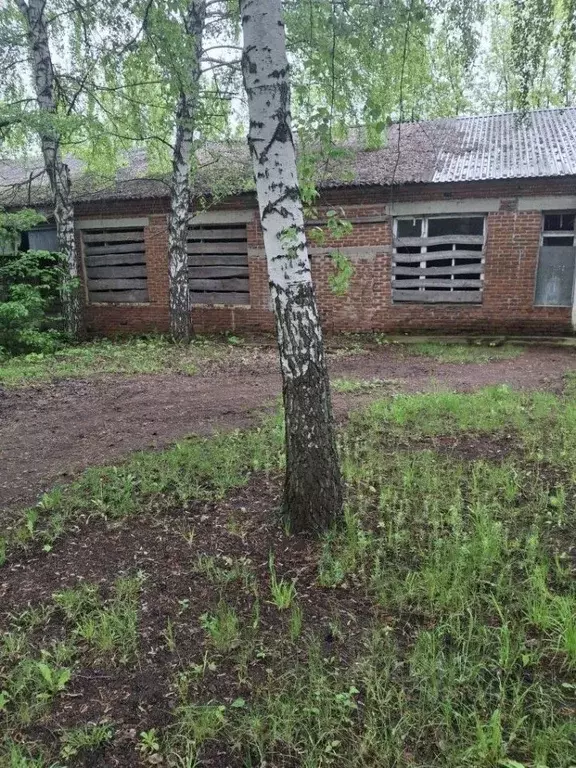 Помещение свободного назначения в Тамбовская область, Инжавинский ... - Фото 1