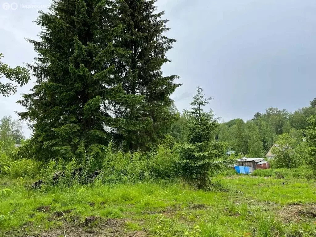 Участок в Сосновское сельское поселение, массив Новожилово (12 м) - Фото 1