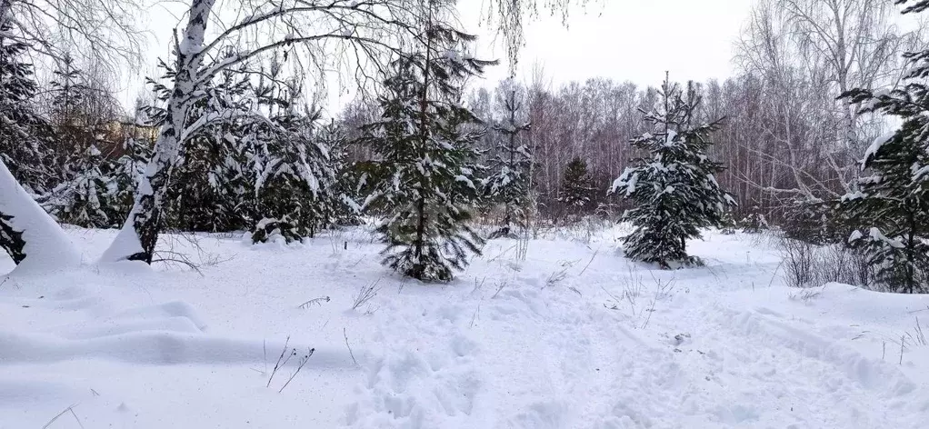 Участок в Челябинская область, Южноуральск Южное СНТ,  (8.0 сот.) - Фото 0