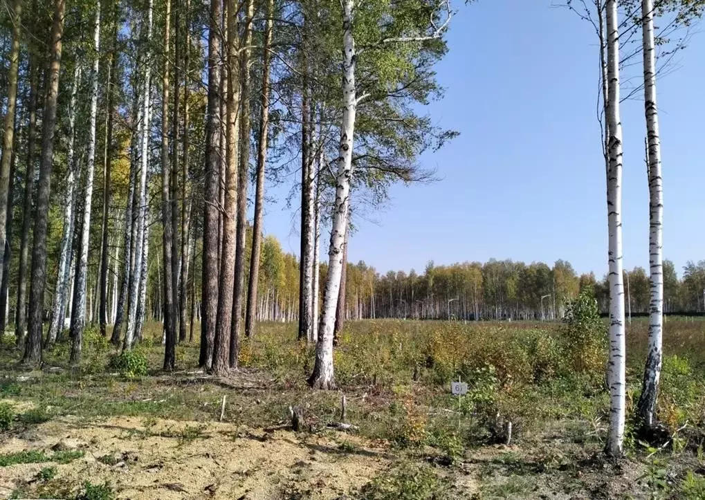 Участок в Свердловская область, Сысертский городской округ, пос. ... - Фото 1