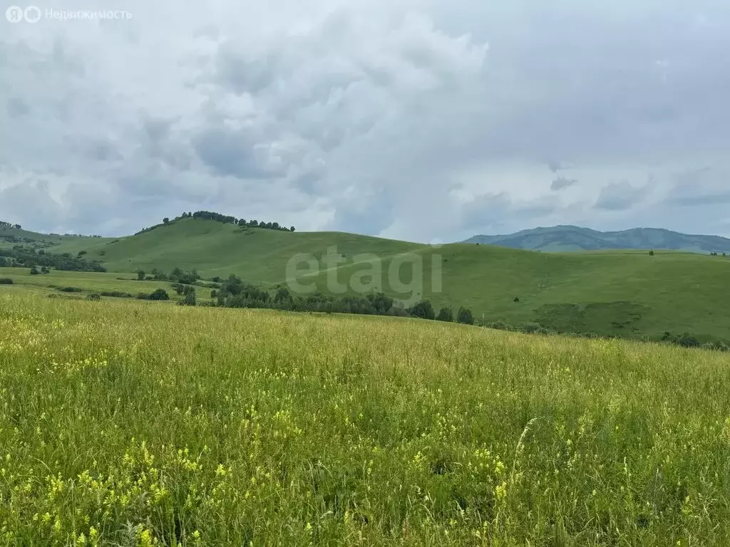 Участок в Алтайский район, ДНТ Жемчужина Алтая, Звездный бульвар (8.75 ... - Фото 2