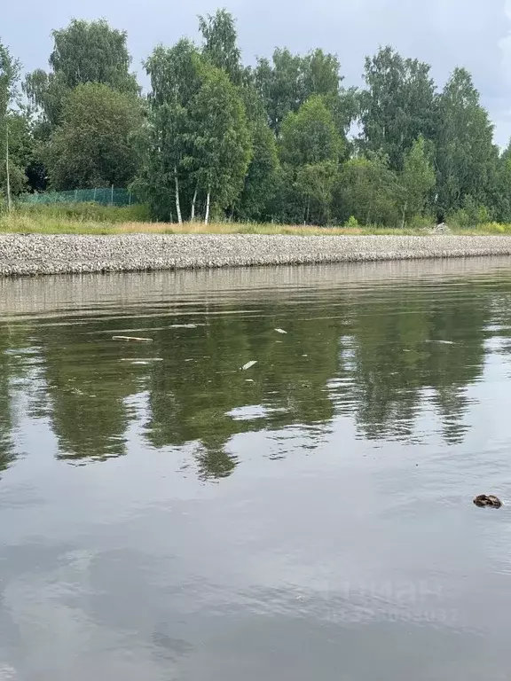 Участок в Пермский край, Добрянский муниципальный округ, д. Гари  ... - Фото 2