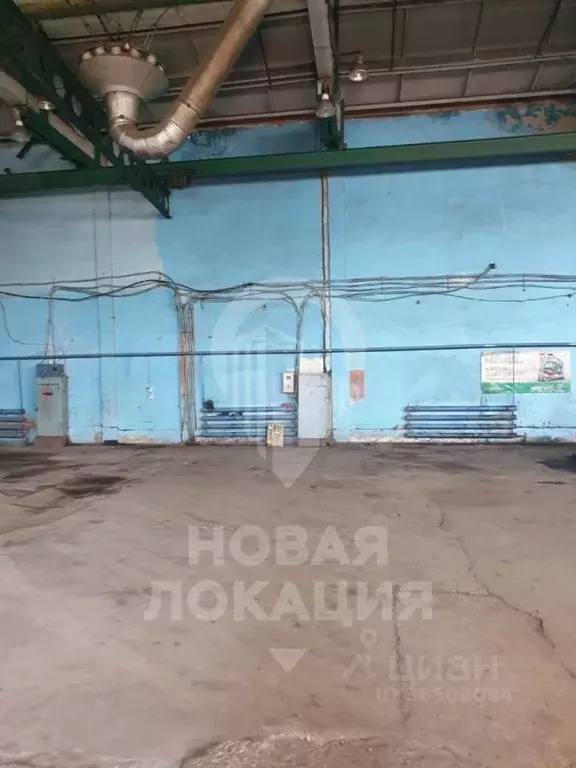 Склад в Омская область, Омск ул. 22 Декабря, 86 (1600 м) - Фото 1