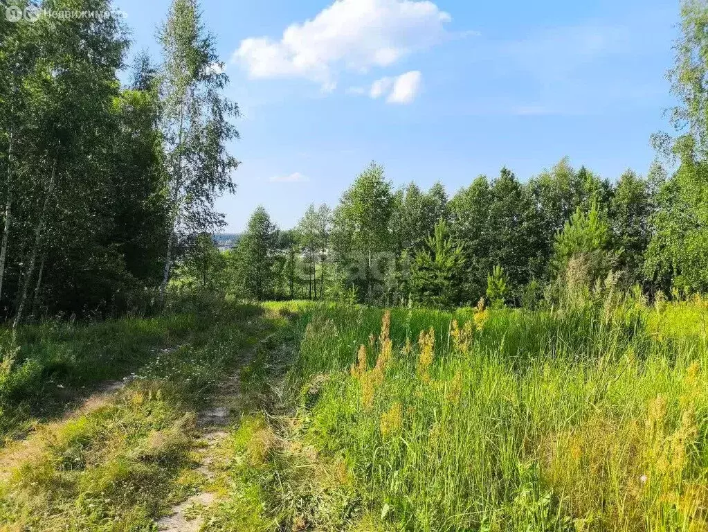 Участок в городской округ Нижний Новгород, деревня Новая (40 м) - Фото 1