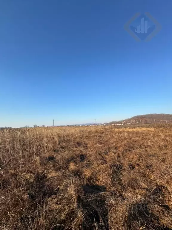 Участок в Приморский край, Партизанский муниципальный округ, с. ... - Фото 2