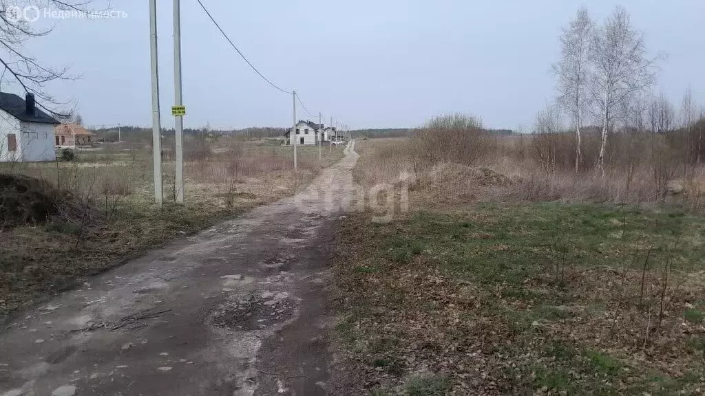 Участок в Калининградская область, Зеленоградский муниципальный округ, ... - Фото 1