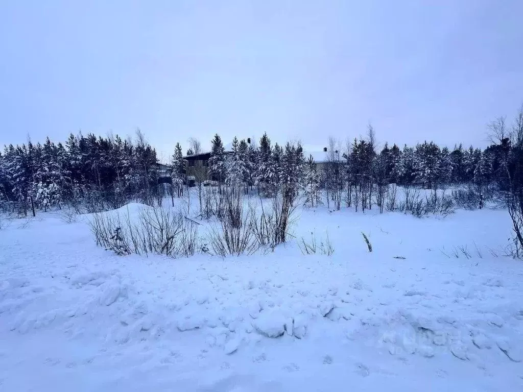 Участок в Ямало-Ненецкий АО, Тарко-Сале Пуровский район, Ближние дачи, ... - Фото 2