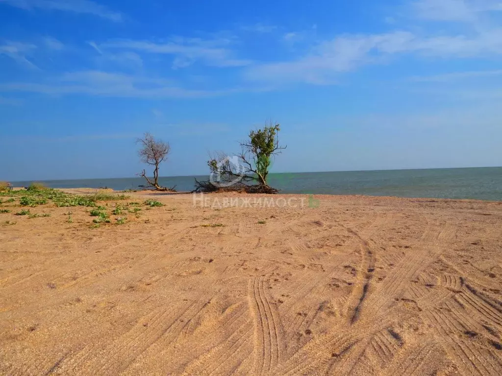 Участок в Краснодарский край, Ейский район, Камышеватская ст-ца ... - Фото 1