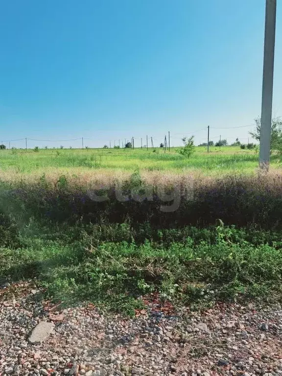Участок в Саратовская область, Балашовский район, Хоперское ... - Фото 1