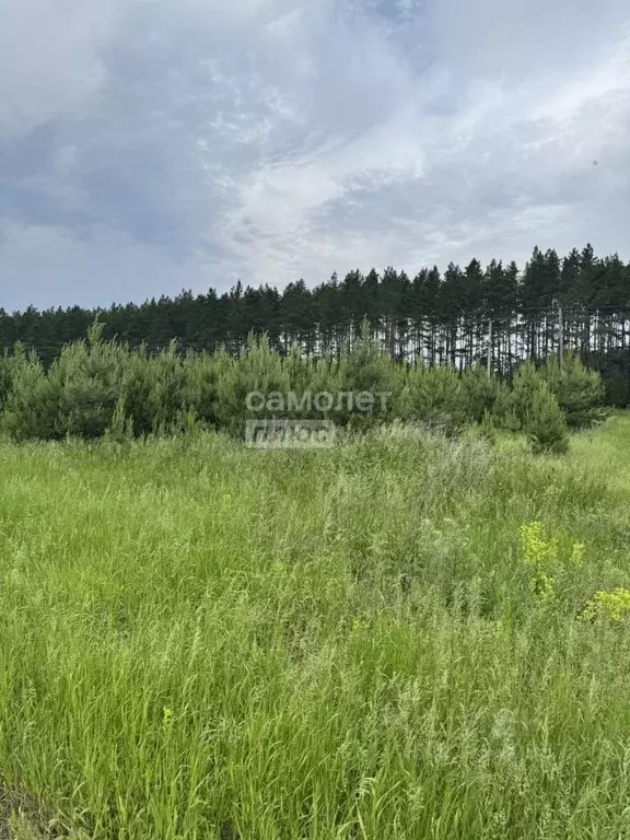 Участок в Омская область, Омский район, с. Красноярка ул. Ленина (10.0 ... - Фото 1