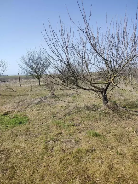 Участок в Крым, Керчь ул. Видная (6.0 сот.) - Фото 2