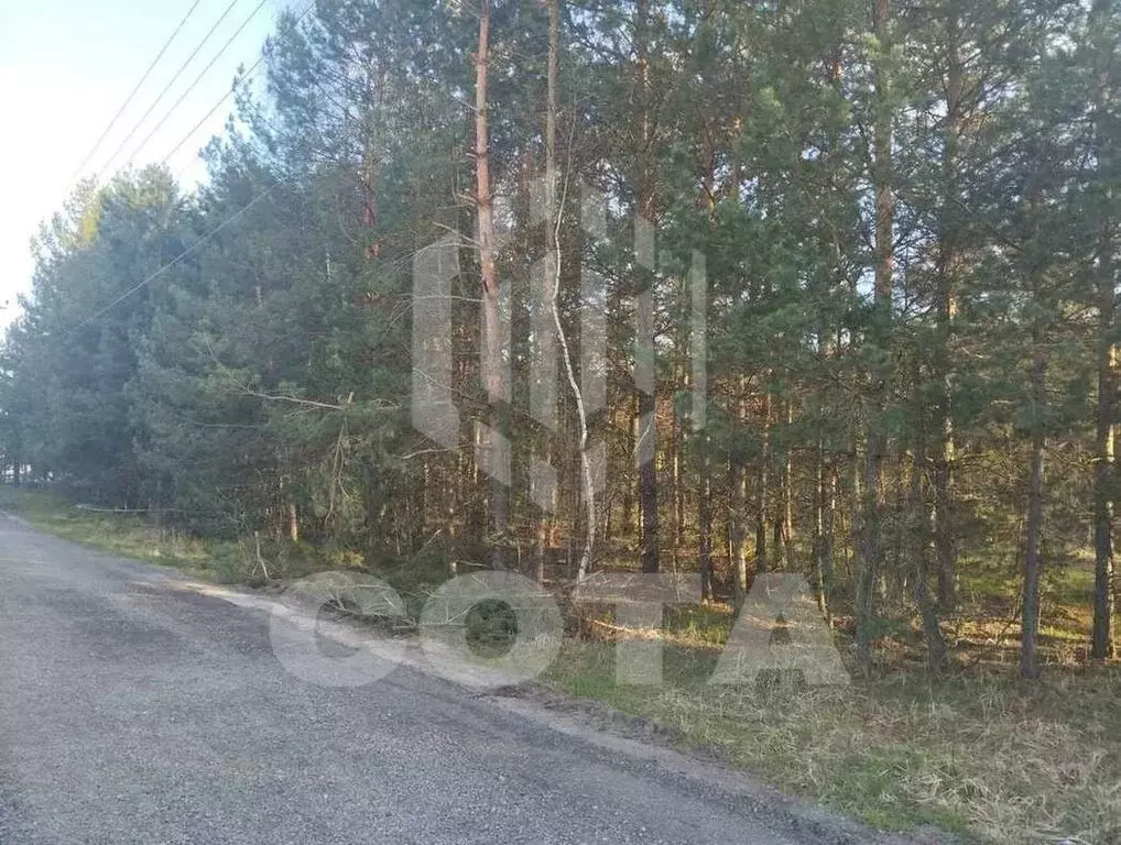 Участок в село Староживотинное, улица Жукова, 29 (8 м) - Фото 2