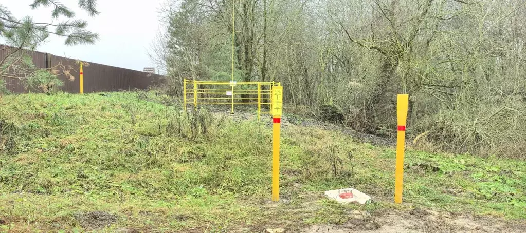 Участок в Смоленская область, Смоленский муниципальный округ, с. ... - Фото 1