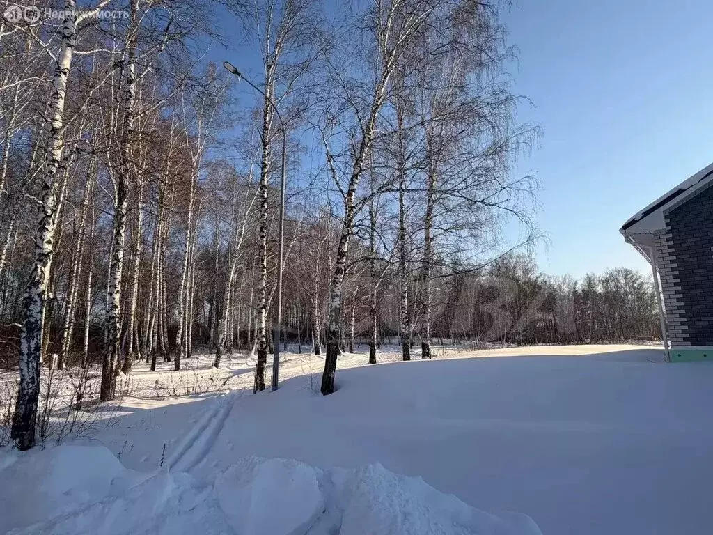 Участок в Тюменский муниципальный округ, село Луговое (8 м) - Фото 1