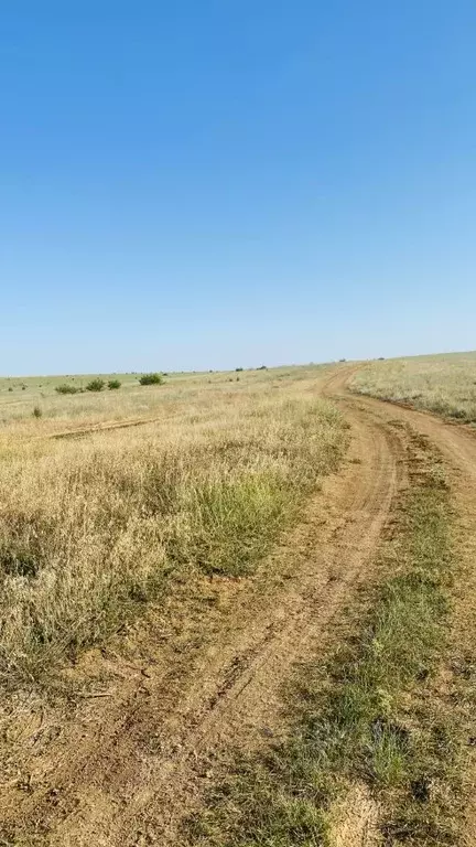 Участок в Крым, Сакский район, с. Фрунзе  (6.0 сот.) - Фото 1