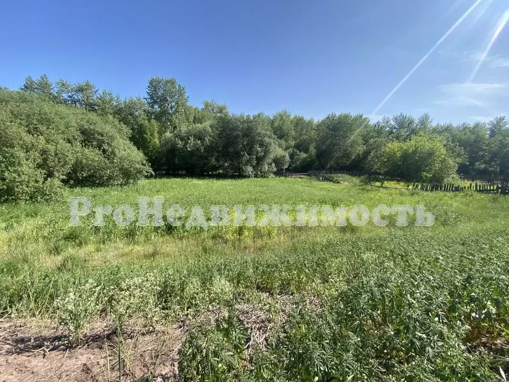 Участок в Тыва, Кызылский кожуун, с. Черби ул. Сельская, 67 (9.02 ... - Фото 1