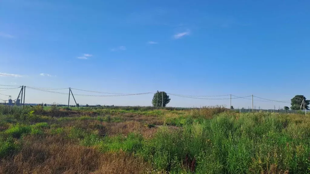 Участок в Ленинградская область, Тосненский район, Федоровское ... - Фото 1