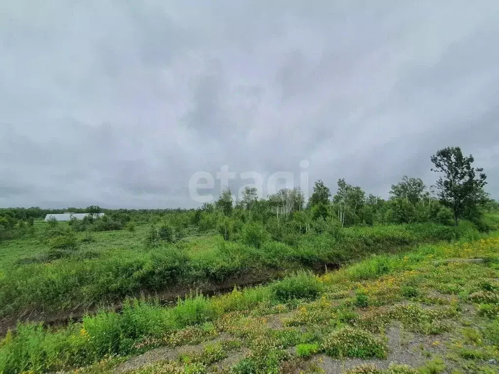 Участок в Камчатский край, Елизово Дубрава-1 ПААТО Камчатстроя СНТ,  ... - Фото 1