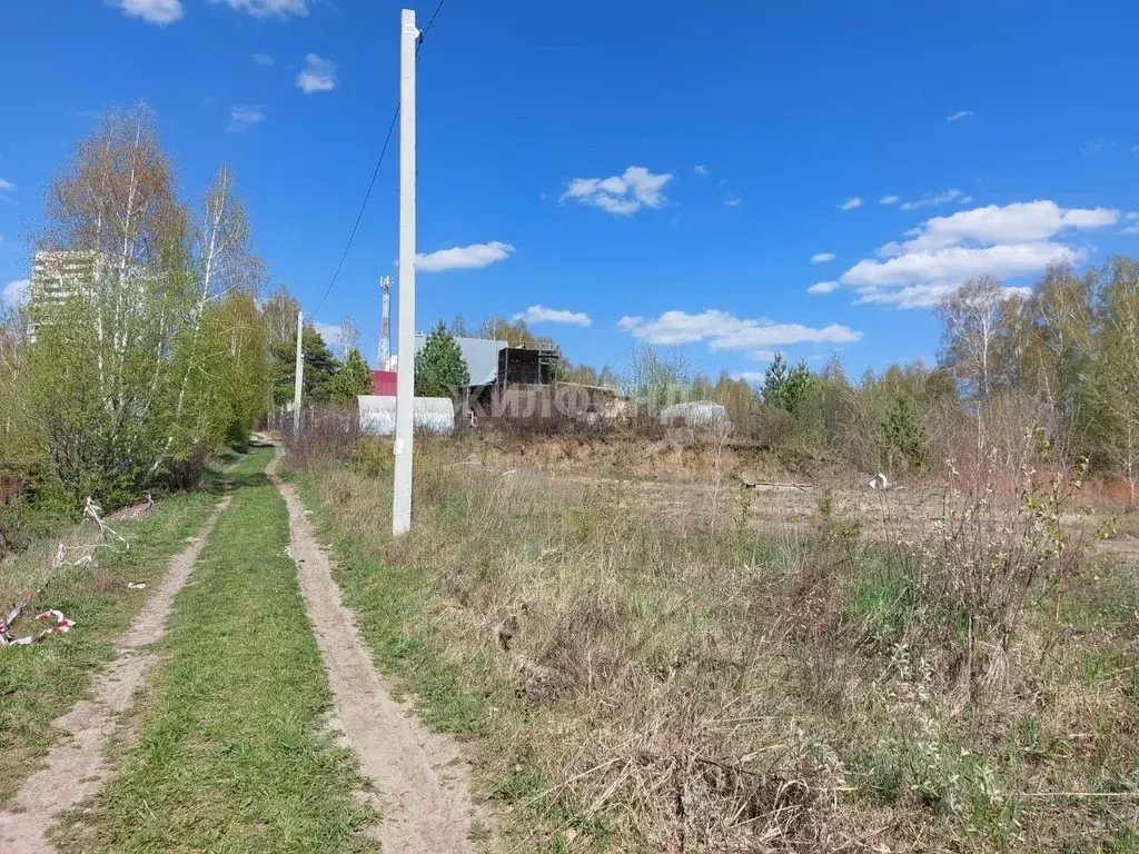 Участок в Новосибирская область, Новосибирск Ветеран СНТ, ул. Крутой ... - Фото 0