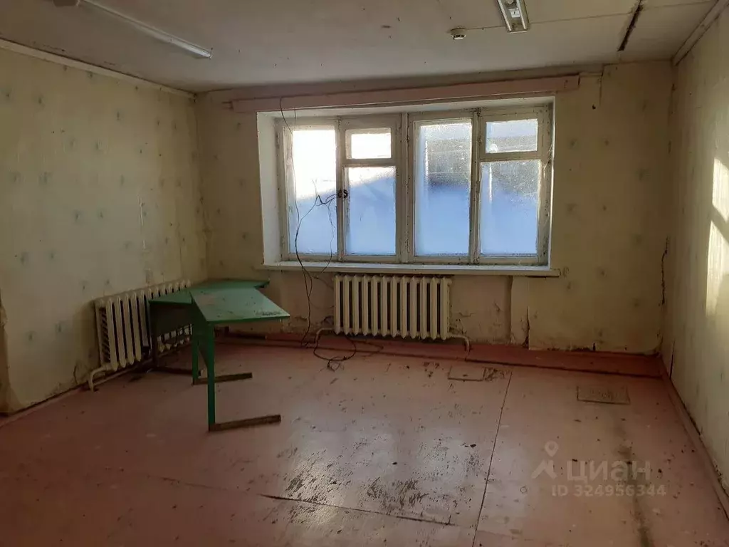 Помещение свободного назначения в Нижегородская область, Сергачский ... - Фото 1