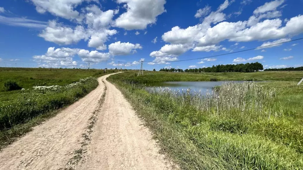 Участок в Тульская область, Заокский район, Демидовское с/пос, с. ... - Фото 2