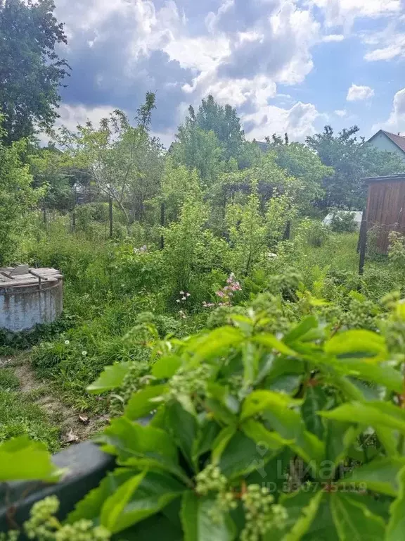 Участок в Калининградская область, Калининград 40 лет Победы СНТ, ул. ... - Фото 1