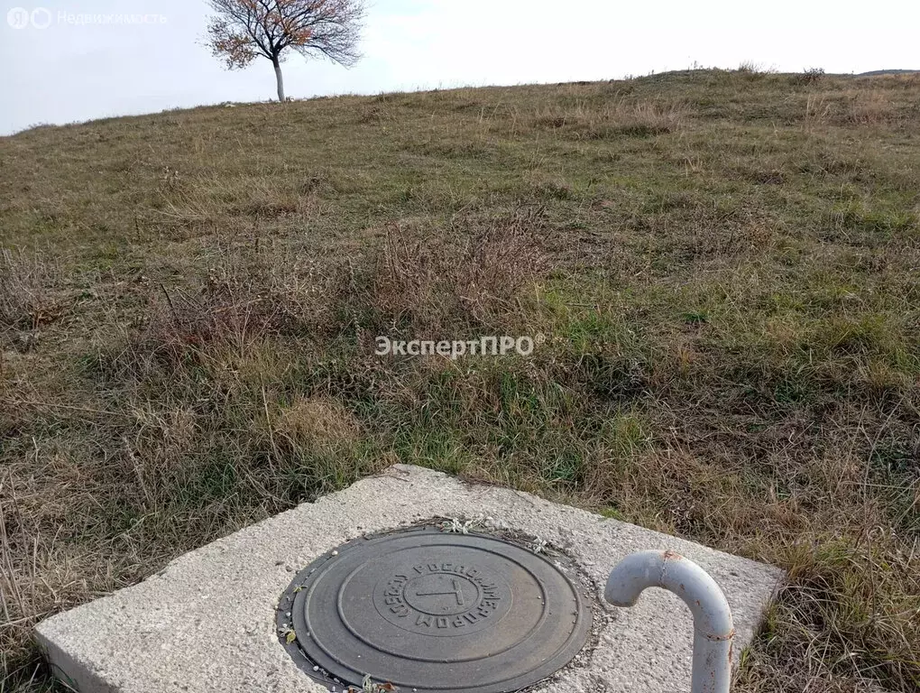 Участок в Трудовское сельское поселение, село Строгоновка, улица ... - Фото 0