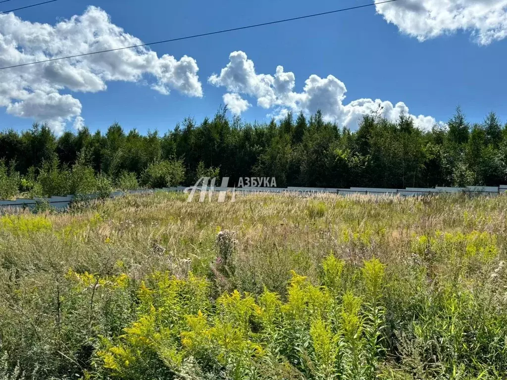 Участок в Московская область, Истра городской округ, Румянцево садовое ... - Фото 1