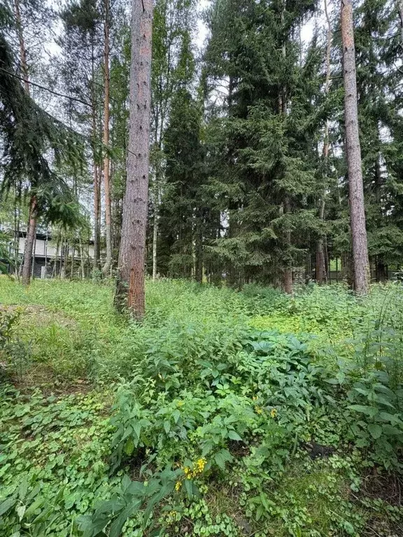 Участок в Московская область, Химки Новогорск Лес ТСН,  (25.9 сот.) - Фото 1