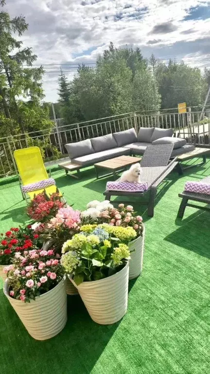 Дом в Санкт-Петербург пос. Парголово, Выборгское ш. (400 м) - Фото 1