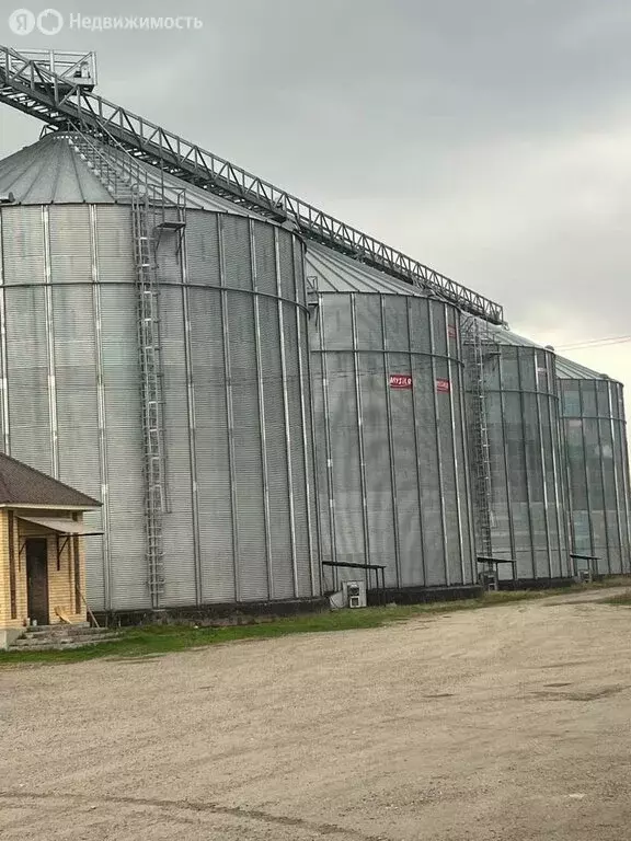 Помещение свободного назначения (344 м) - Фото 2