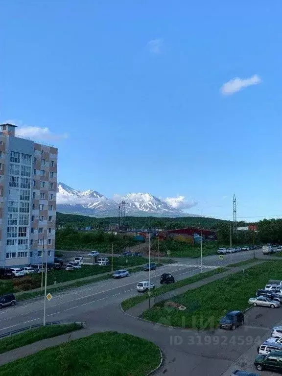 1-к кв. Камчатский край, Петропавловск-Камчатский Дальневосточная ул., ... - Фото 0