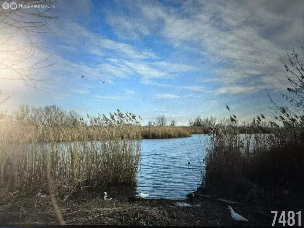 Участок в Аксай, улица Лермонтова, 35 (14 м) - Фото 1