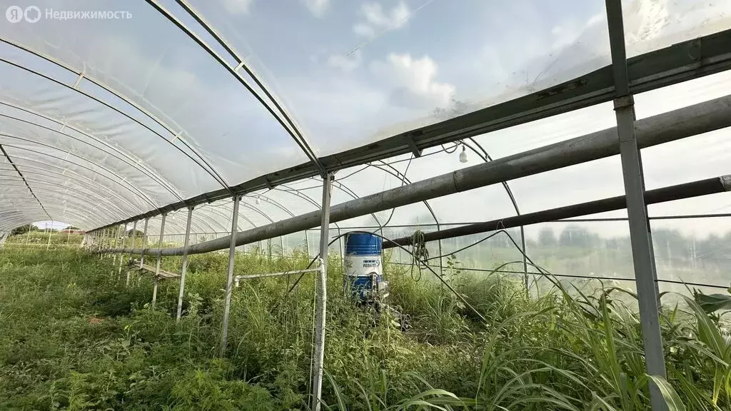 Участок в село Ковалевское, улица Ленина, 34 (24 м) - Фото 2