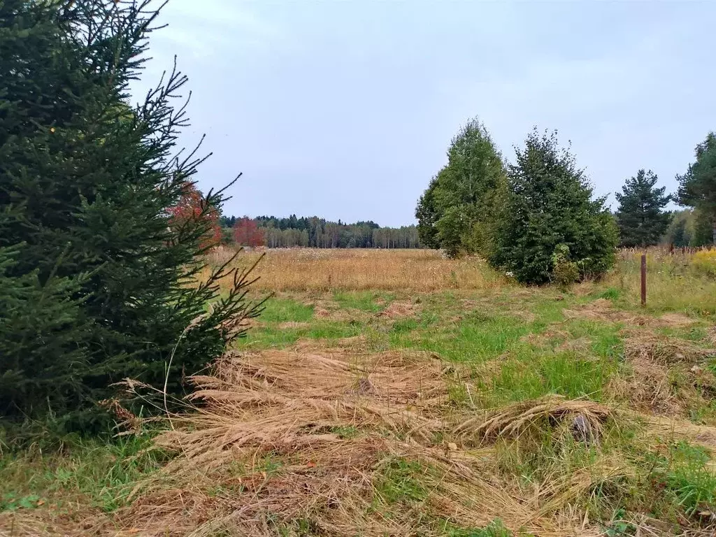 Участок в Тверская область, Калининский муниципальный округ, д. ... - Фото 1