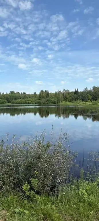 Участок в Новгородская область, Валдайский район, Яжелбицкое с/пос, д. ... - Фото 0