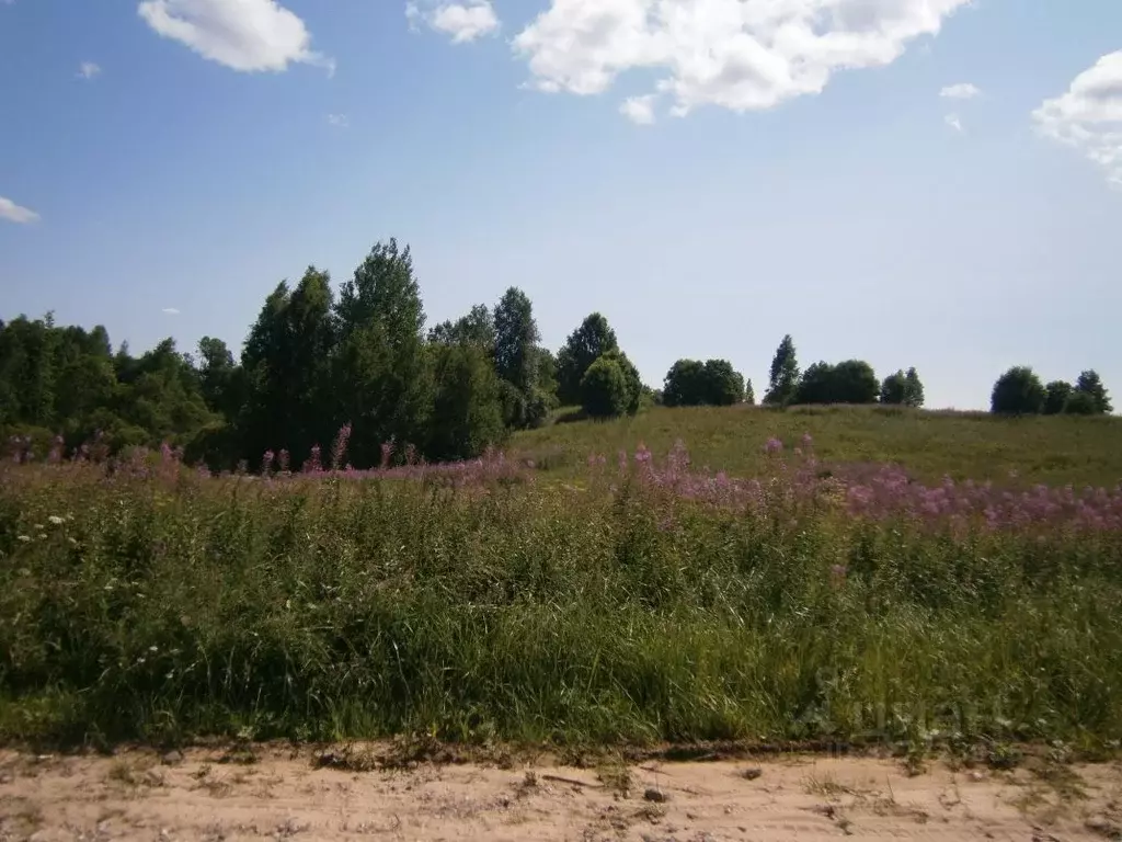 Участок в Новгородская область, Валдайский район, Короцкое с/пос, д. ... - Фото 1