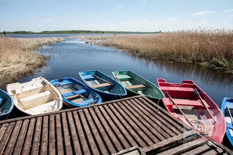 Участок в Ярославская область, Переславль-Залесский городской округ, ... - Фото 1