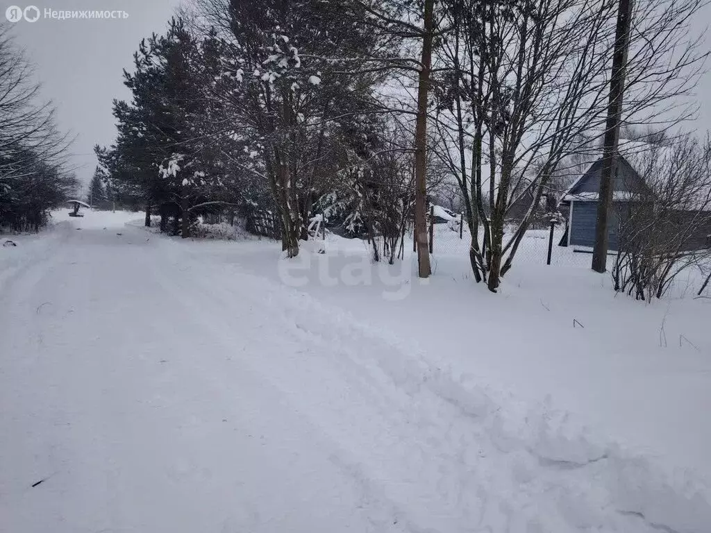 Дом в Ярославский муниципальный округ, деревня Курилково (30 м) - Фото 2