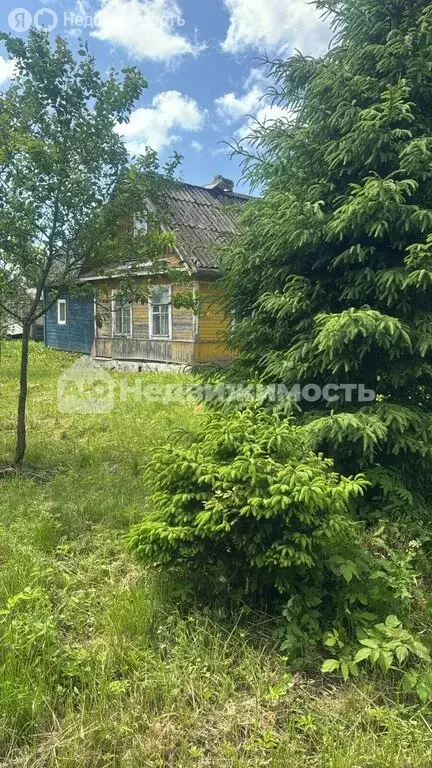 Дом в Усть-Луга, квартал Краколье (60 м) - Фото 0