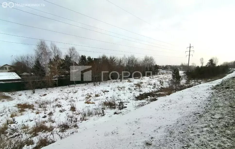 Участок в Новосибирский район, Кудряшовский сельсовет, садоводческое ... - Фото 0