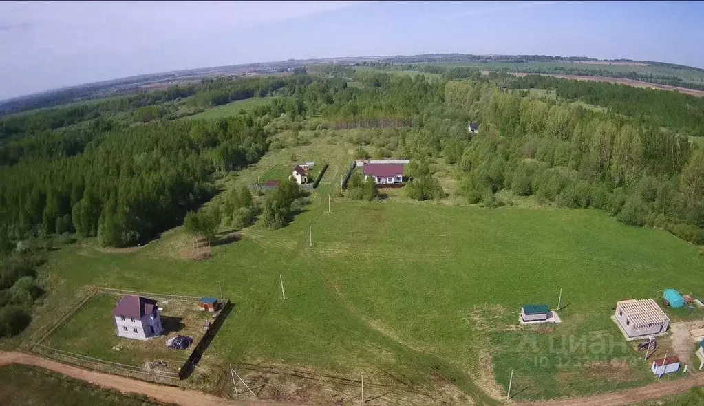 Участок в Ярославская область, Некрасовский муниципальный округ, д. ... - Фото 2
