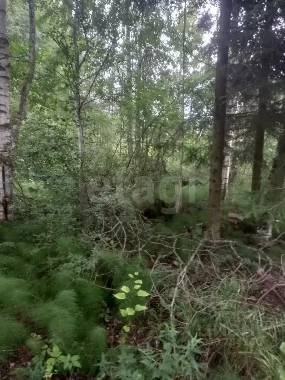 Участок в Ленинградская область, Приозерский район, Запорожское с/пос, ... - Фото 0