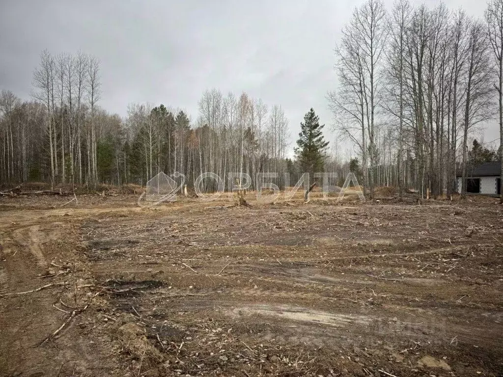 Участок в Тюменская область, Нижнетавдинский район, с. Тюнево  (11.0 ... - Фото 0