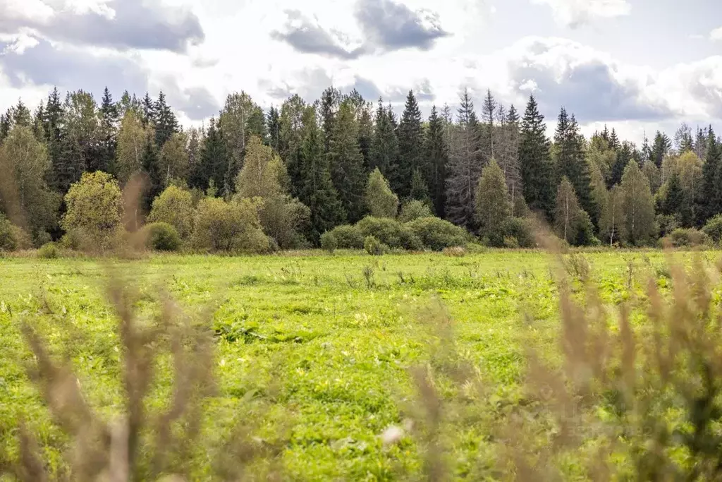 Участок в Московская область, Одинцовский городской округ, Мэдисон ... - Фото 1