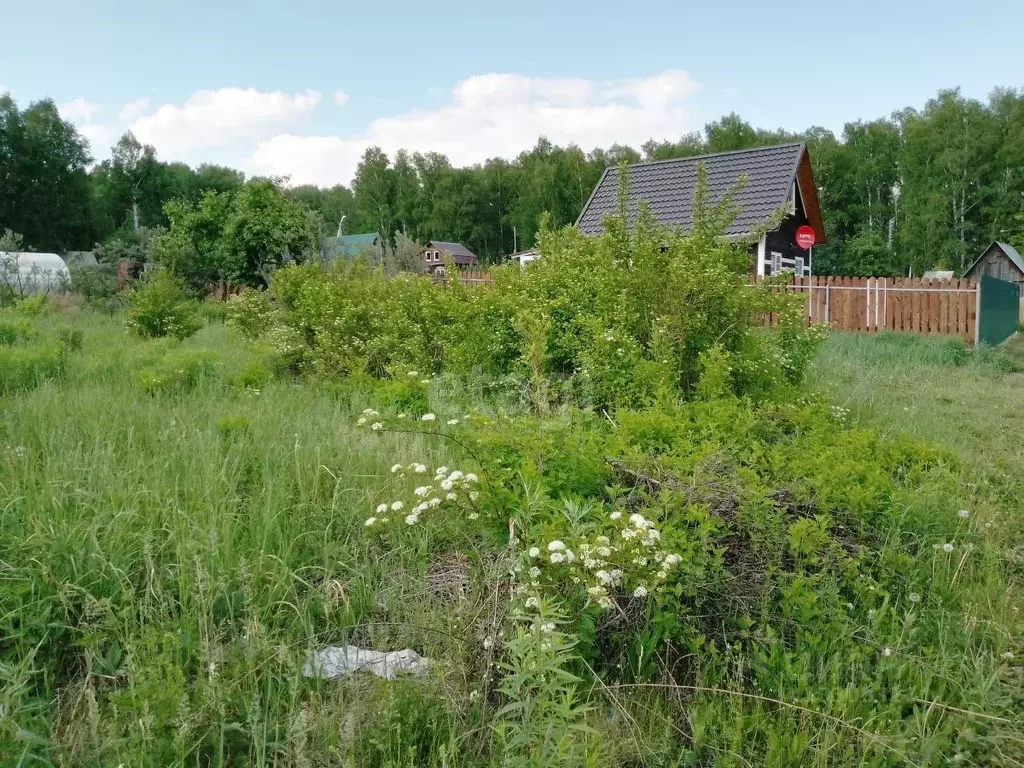Купить Дачу В Снт Междуречье Новосибирской Области